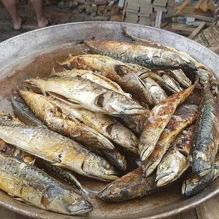 Antonela 2 كرفافيكا